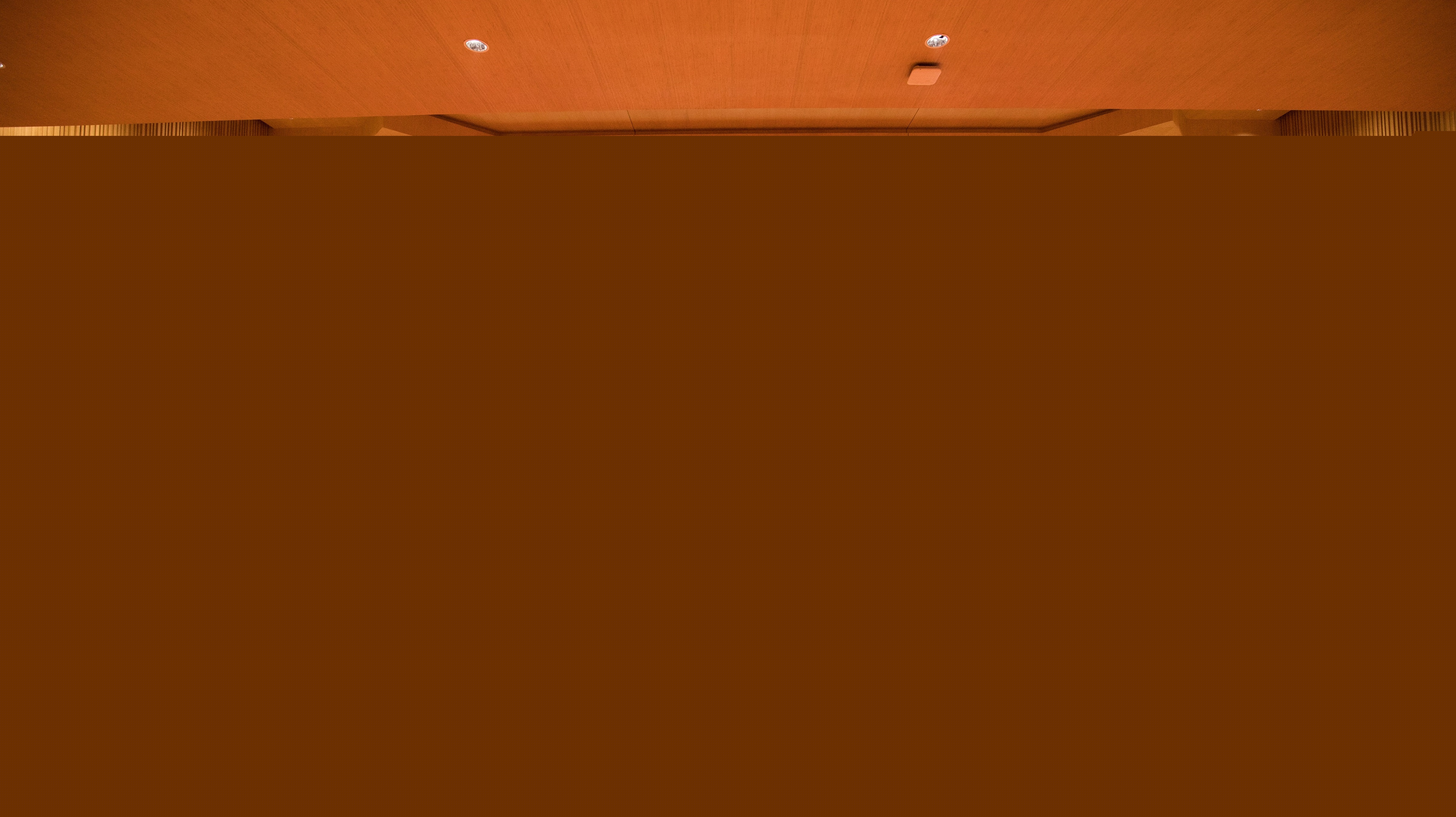 音樂(lè)反聲罩6